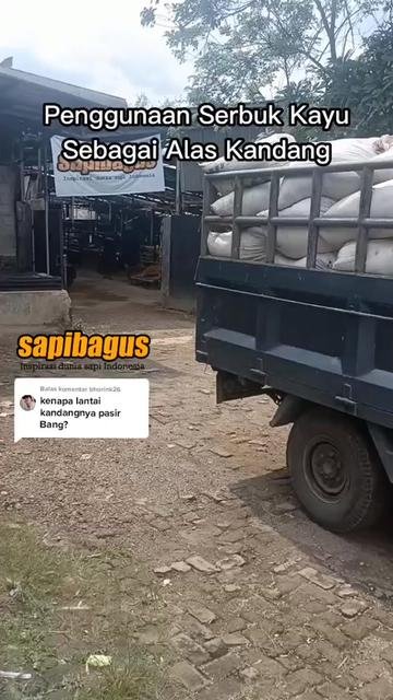 Serbuk-Kayu-Alas-Kandang